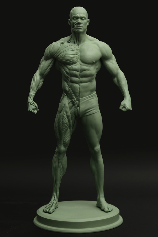 ecorche01