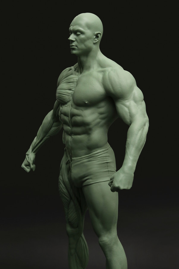 ecorche04