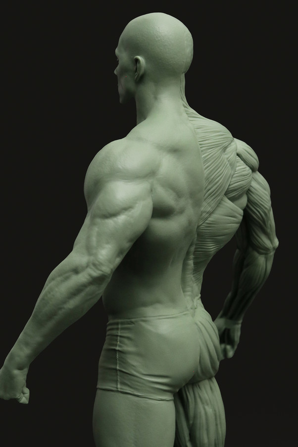 ecorche07